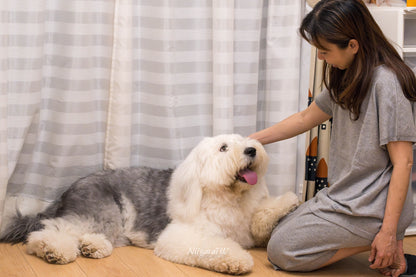 日本新潟製居家服(有機棉)